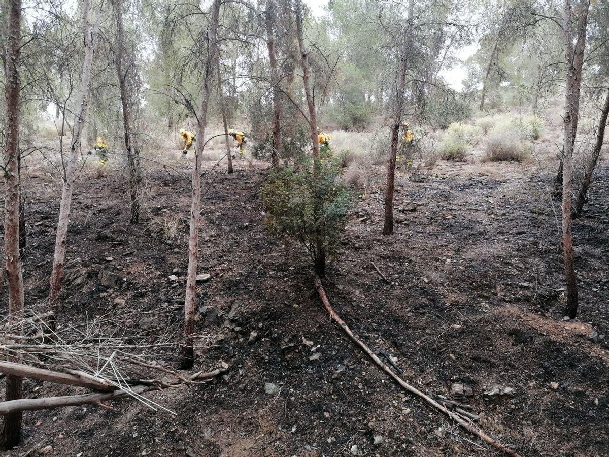 Los bomberos han sofocado el fuego.