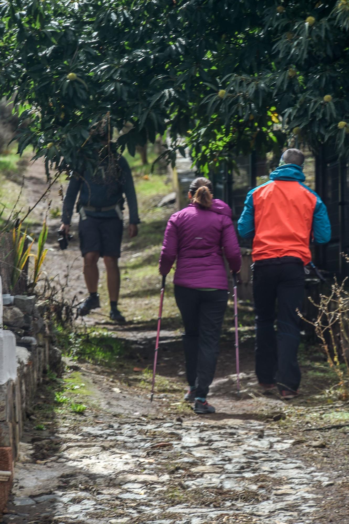 En busca del rastro verde del ‘Hermine’