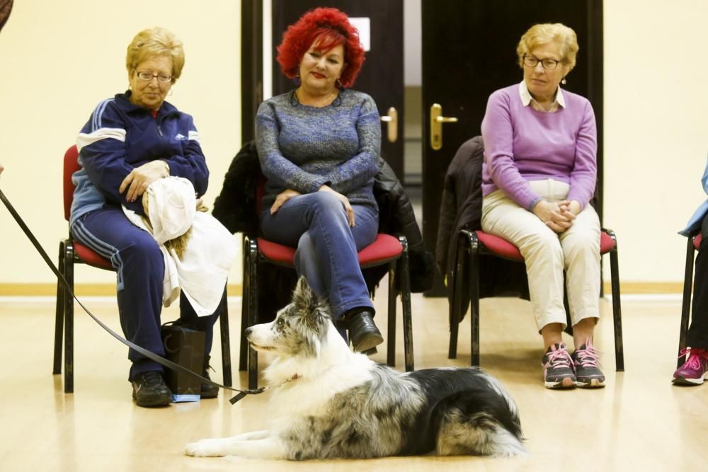 Taller de terapia con perros en el centro de mayores de Las Meanas, Avilés