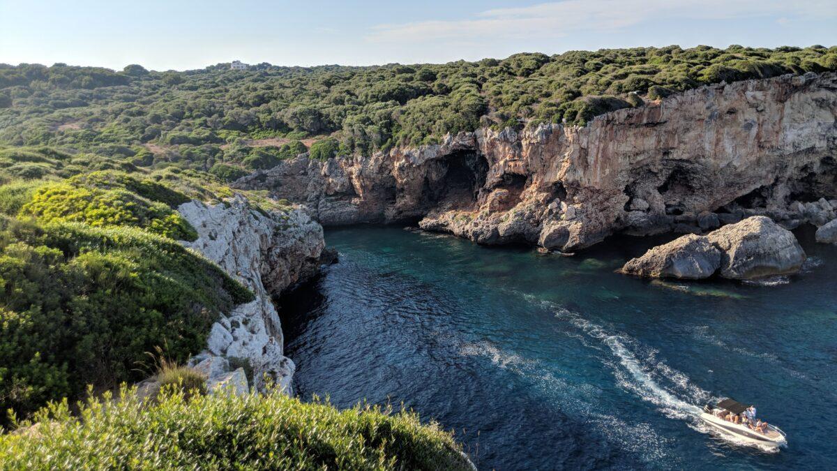 El Mediterráneo se ‘tropicaliza’: ya tiene 1.000 especies invasoras