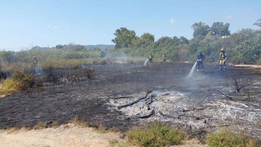 Arden 800 metros cuadrados de rastrojos en Platja d’en Bossa