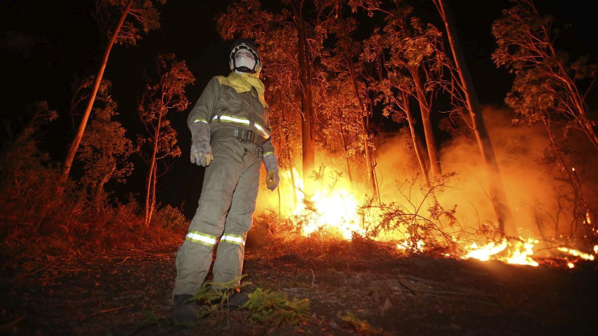 Incendio forestal.