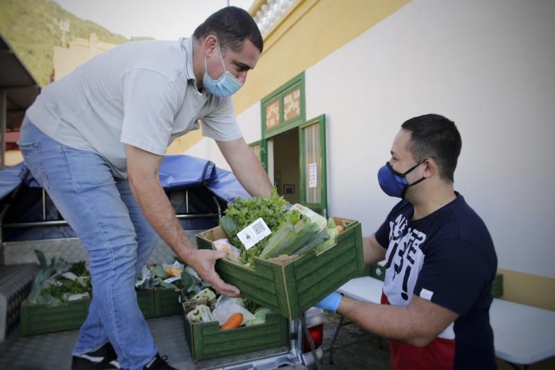 Fiestas Virtuales de La Florida