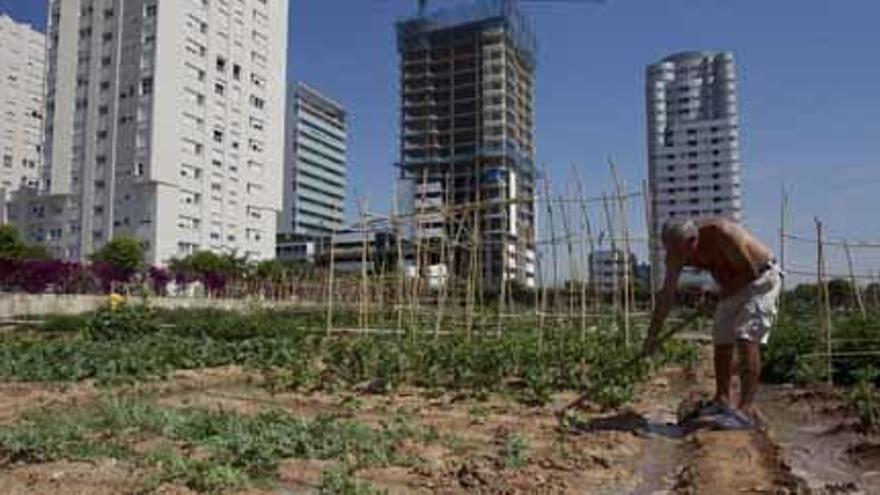 El plan de huertos urbanos de Ribó tensa las relaciones en el tripartito