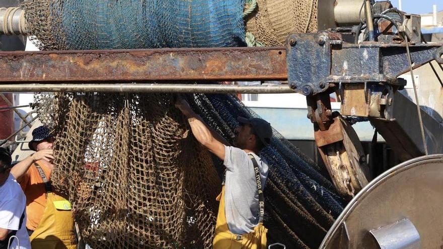 O declaramos datos a ciegas o dejamos de faenar antes de tiempo