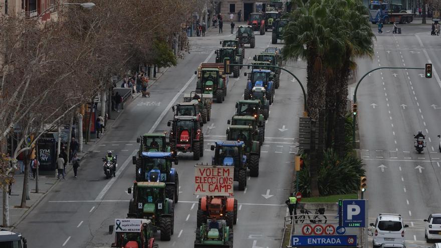 Traktor-Demo auf Mallorca: Was wollen die Bauern überhaupt?