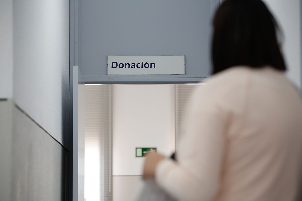 Córdoba llama a la donación de sangre para reponer las reservas