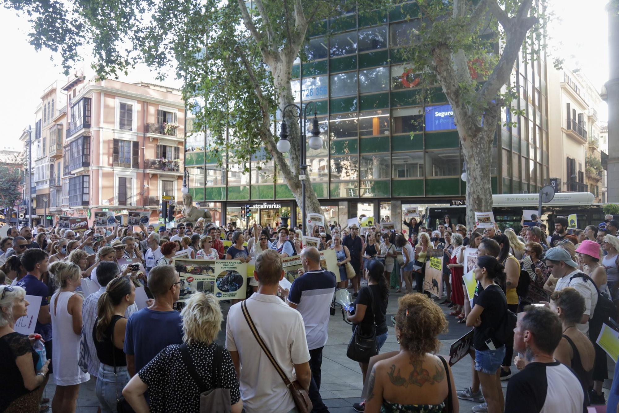 Cientos de personas exigen en Palma "el fin de la explotación de los caballos de galeras"