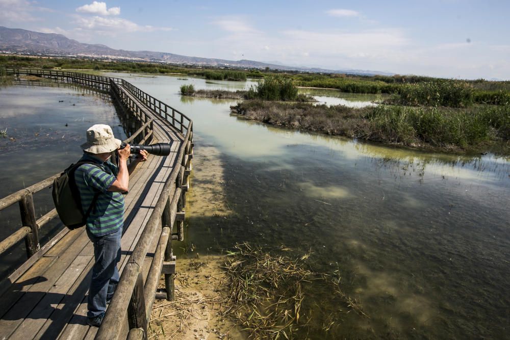 El parque natural de El Hondo