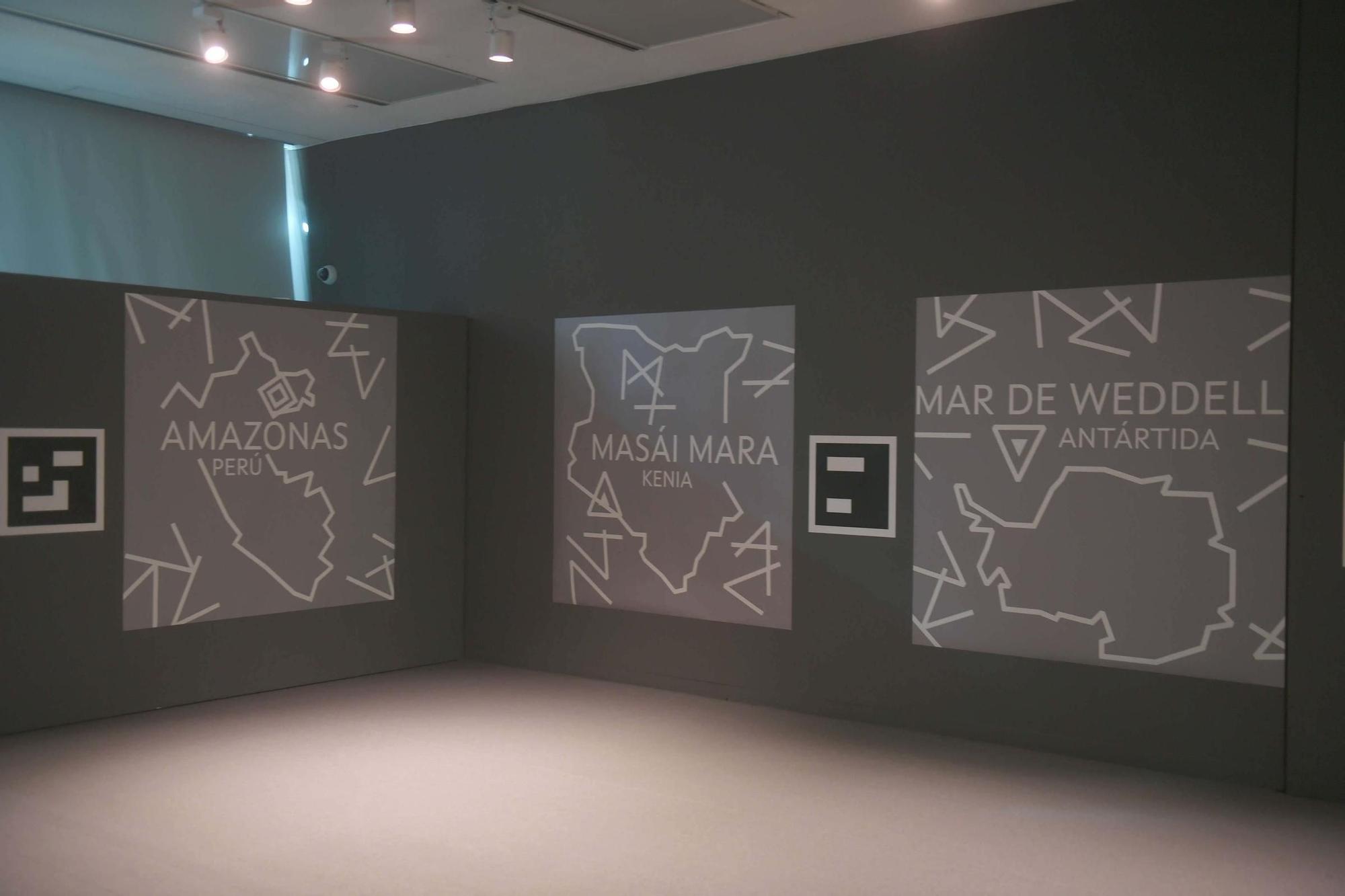 La exposición 'Hábitats. Natureza estendida' abre el 24 de abril en Afundación