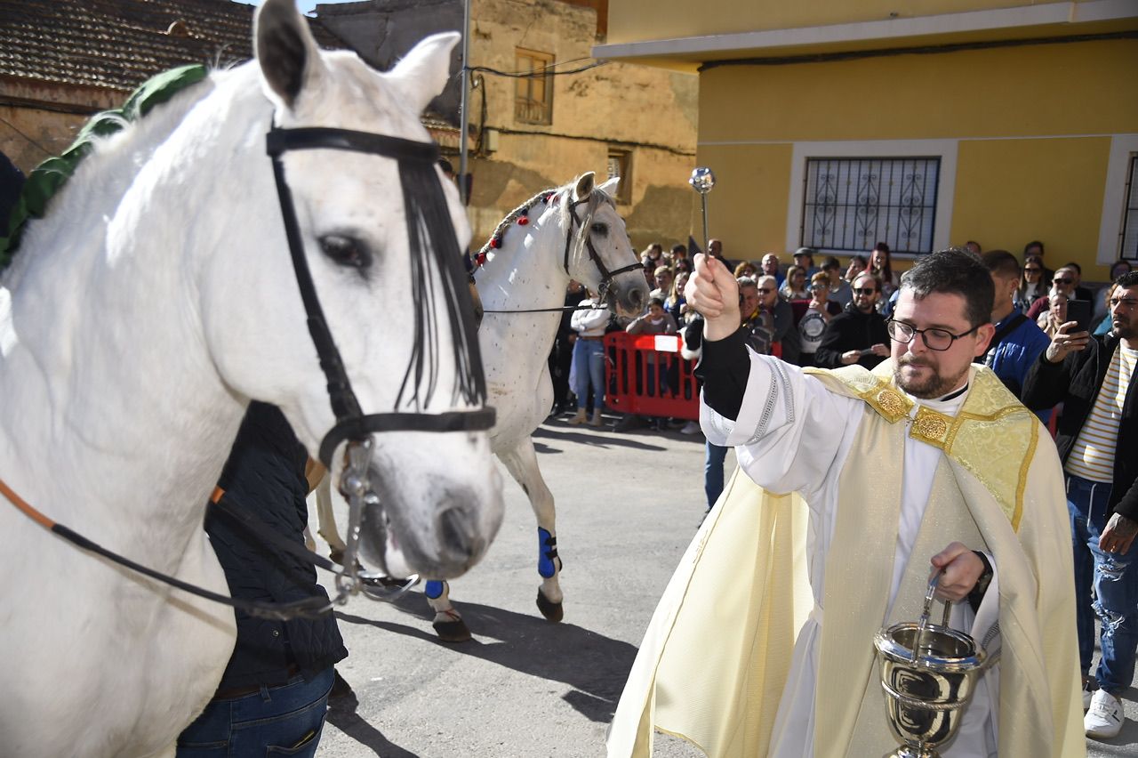 Bendición de animales por San Antón en Cartagena