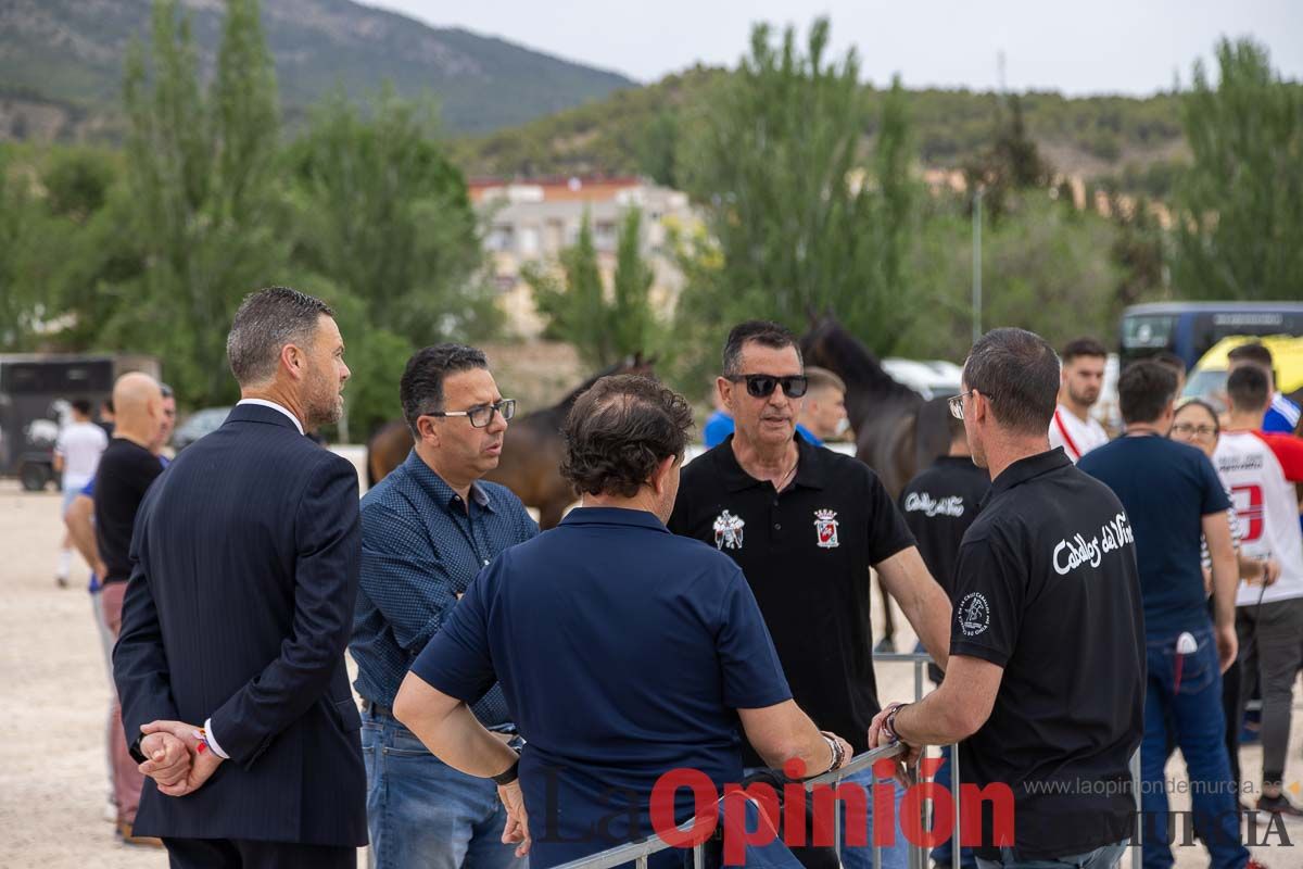 Control veterinario de los Caballos del Vino en Caravaca