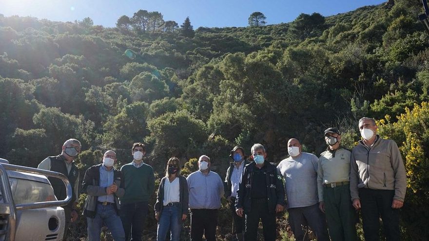 Coín contará con el pinsapar más oriental de toda Andalucía, con más de un millar de ejemplares