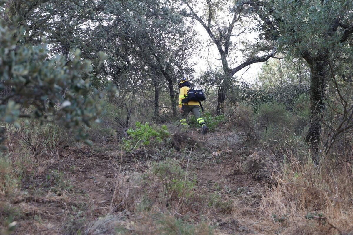 El Infoca trabaja en la extinción del incendio de Las Jaras en la sierra de Córdoba