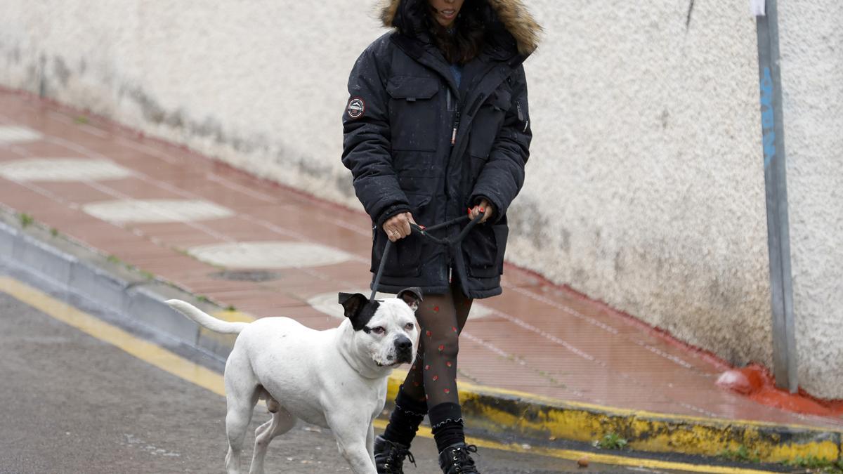 Paola Olmedo afronta sus días más duros en compañía de su inseparable perro