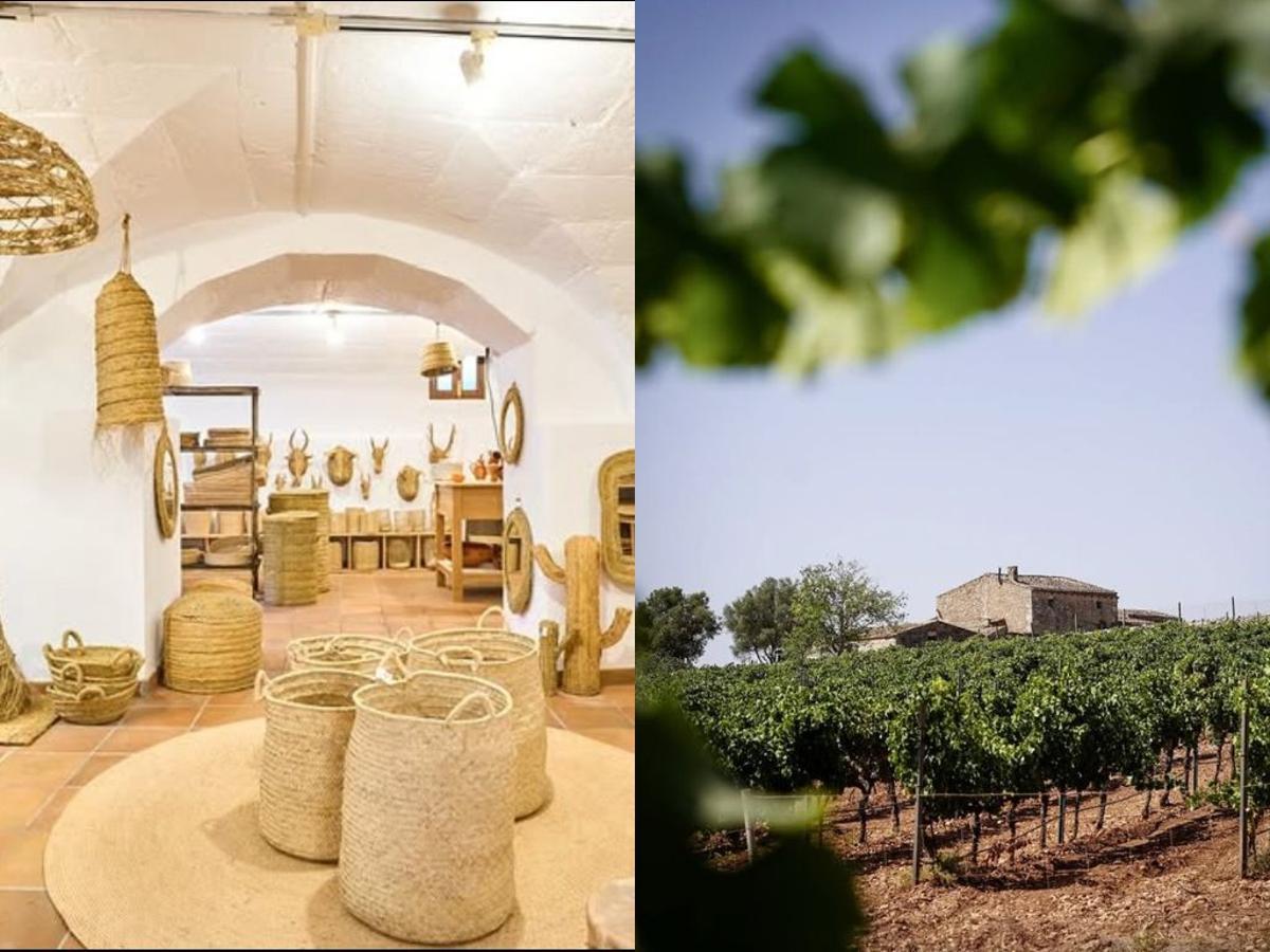 Die MZ-Leser besuchen am 29. April Son Poca Palla und die Bodega Pere Seda.