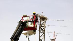 Uno de los prototipos instalados para evitar electrocuciones de cigüeñas.