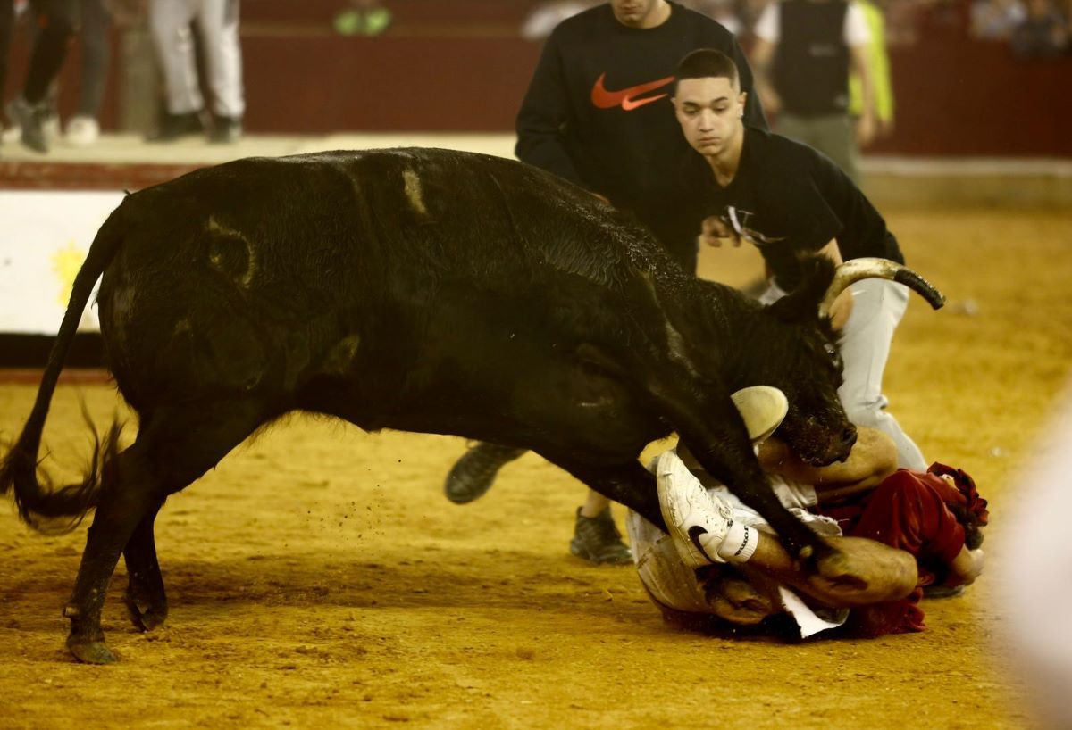 En imágenes | Vaquillas en la plaza de toros