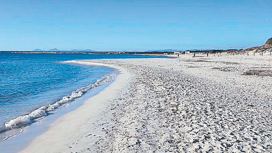 De Doñana a es Trenc, el negacionismo climático del PP