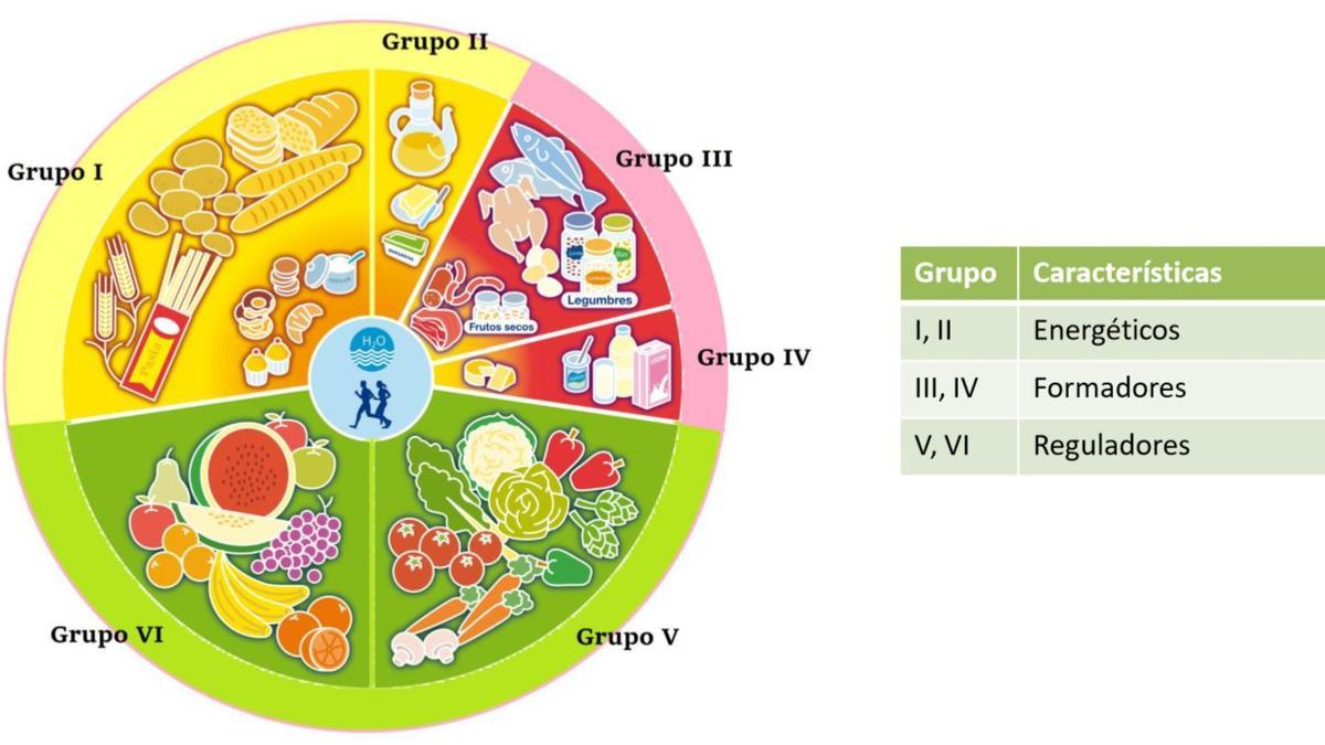 La rueda de la alimentación tiene tres grandes grupos y seis subgrupos.