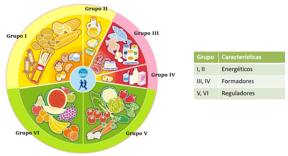 La rueda de la alimentación tiene tres grandes grupos y seis subgrupos.