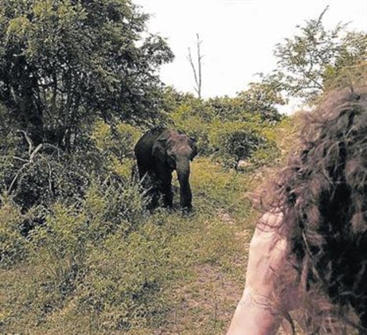 Carles Puyol i Vanessa Lorenzo sen van de safari_MEDIA_1 Carles Puyol i Vanessa Lorenzo sen van de safari_MEDIA_1