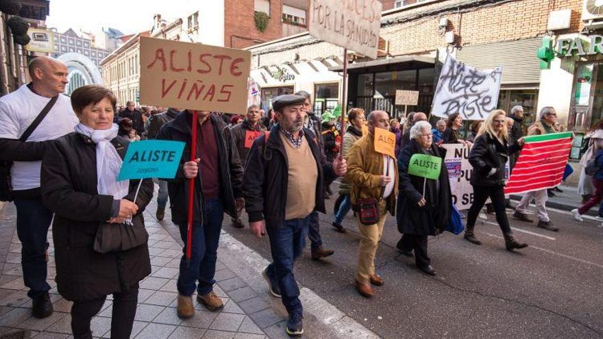 Un grupo de alistanos en la manifestación de Valladolid por la sanidad pública de Castilla y León.