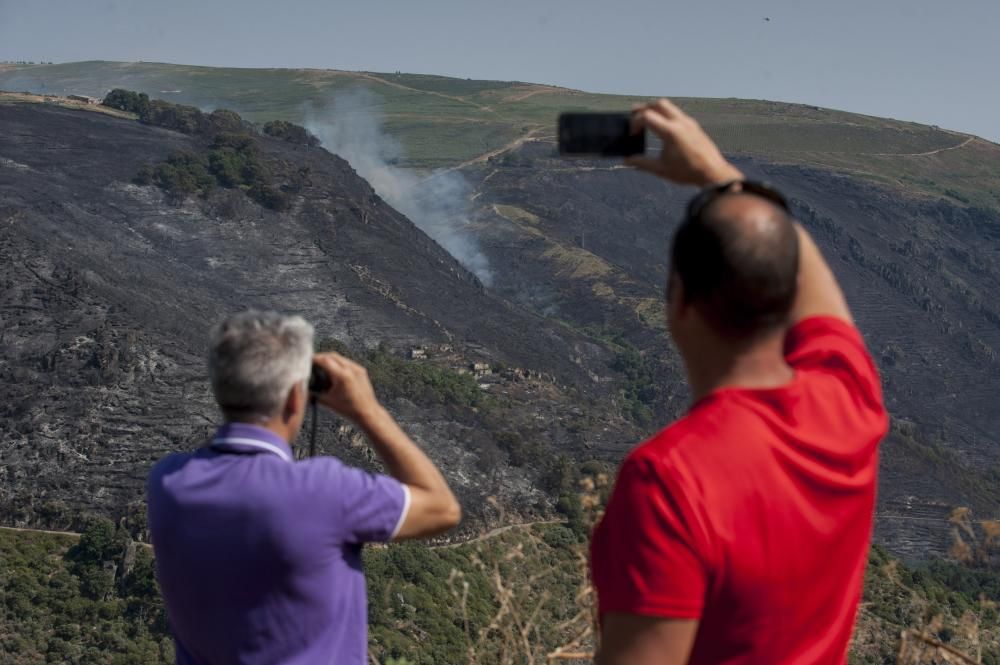 La oleada de incendios azota Ourense - La conselleira de Medio Rural denuncia la elevada actividad incendiaria de este fin de semana, con más de 20 focos en la provincia. El fuego de Trives, con 164 h