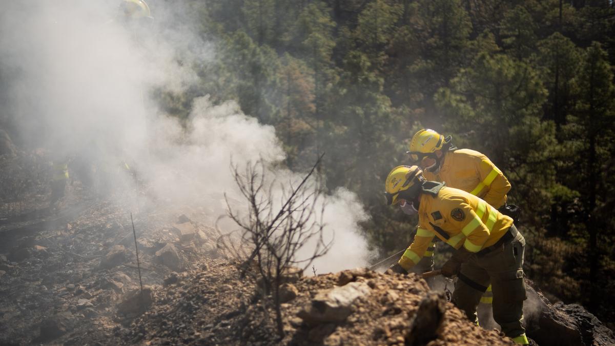 Dispositivo especial del Cabildo de Tenerife en el incendio de Arico