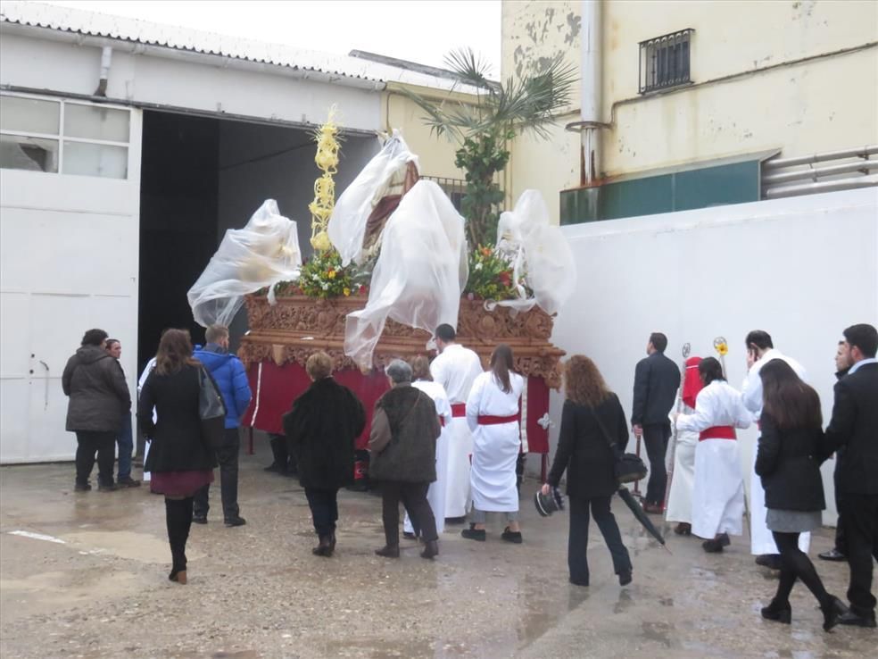 Imágenes del Domingo de Ramos en la provincia