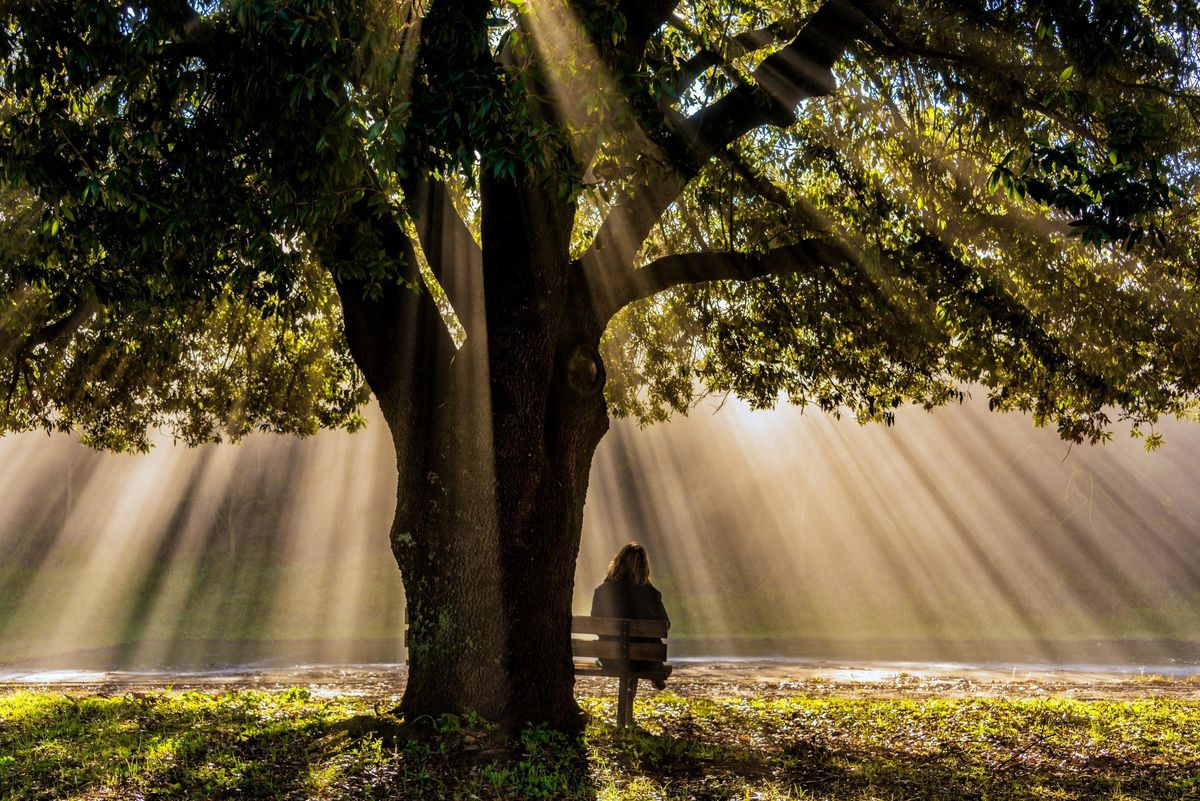 Una mujer se resguarda del sol bajo la sombra de un árbol.
