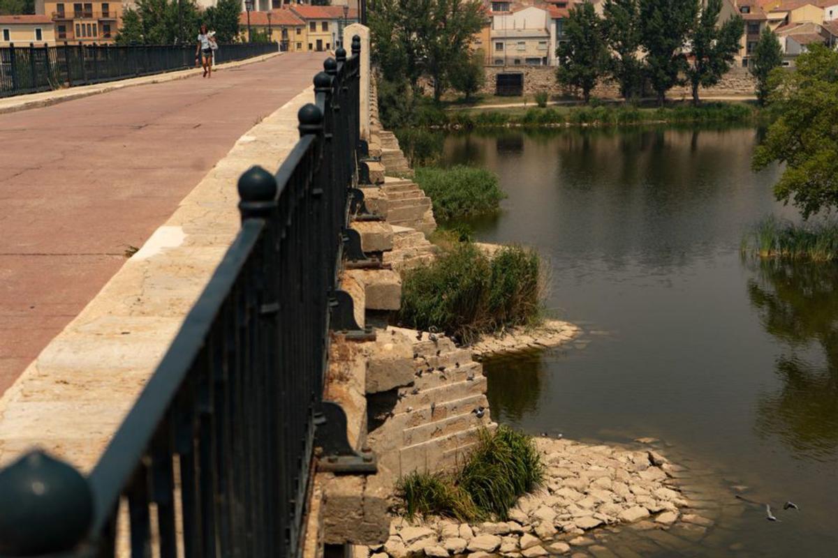 El caudal del Duero en Zamora, por debajo del nivel ecológico