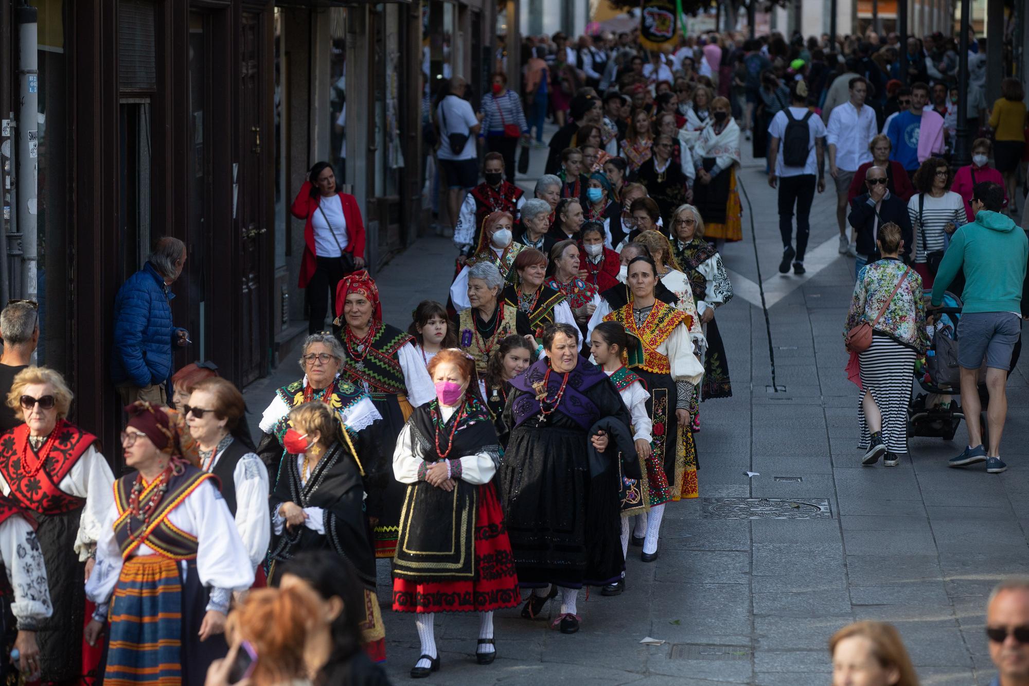 Desfile de indumentaria tradicional de Zamora