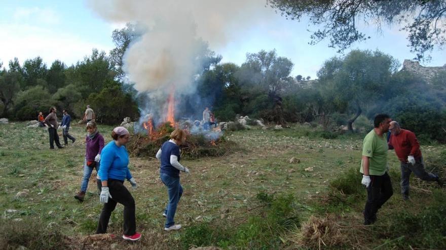 Voluntarios eliminan la maleza quemándola en un claro abierto.