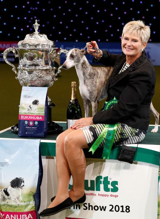 Crufts Dog Show, l'exhibició de gossos més gran d'Anglaterra