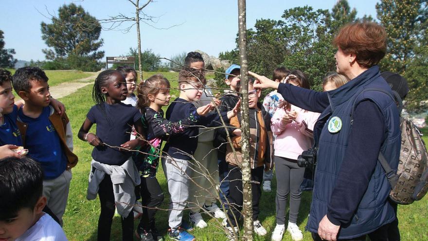 La provincia celebra el Día del Árbol: “Hay que concienciar en su respeto y cuidado”