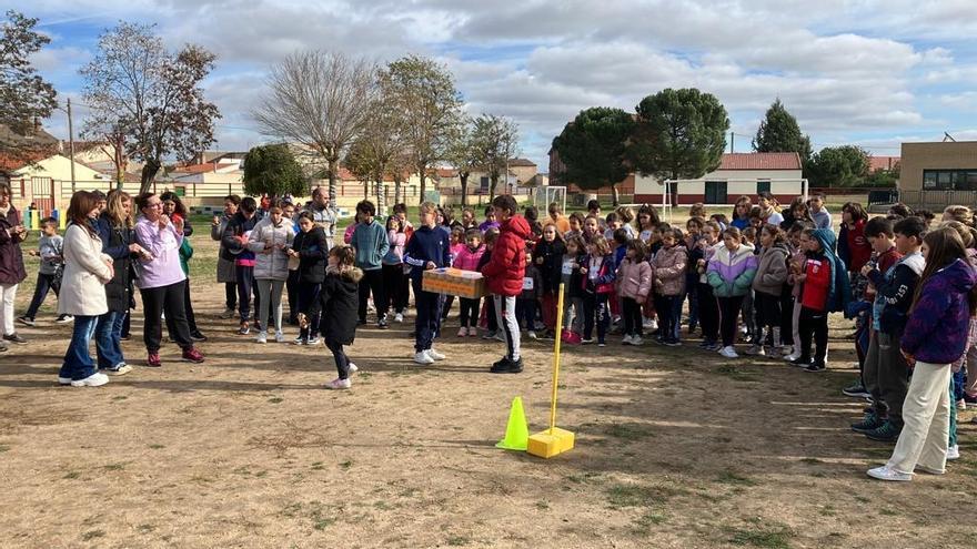 Magosto y solidaridad en Villaralbo