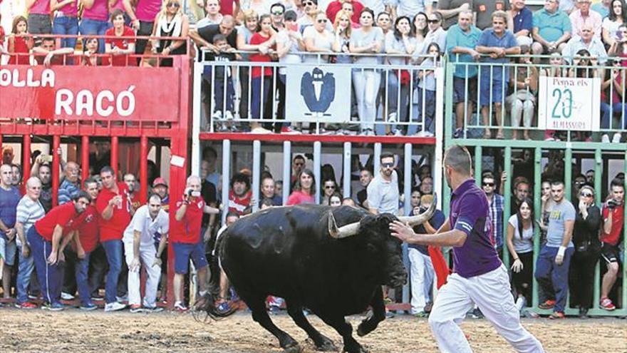 Almassora ‘sortea’ los 14 cerriles del Roser en 6 jornadas