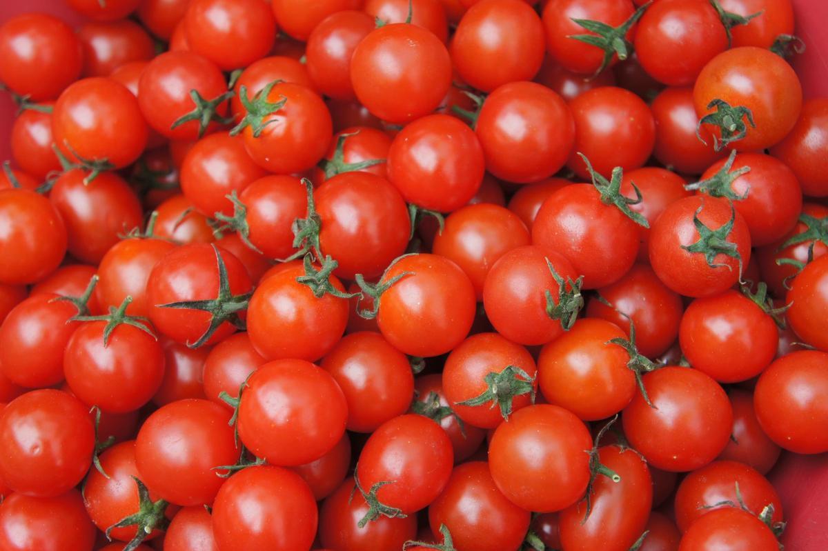 Tomates en una imagen de archivo