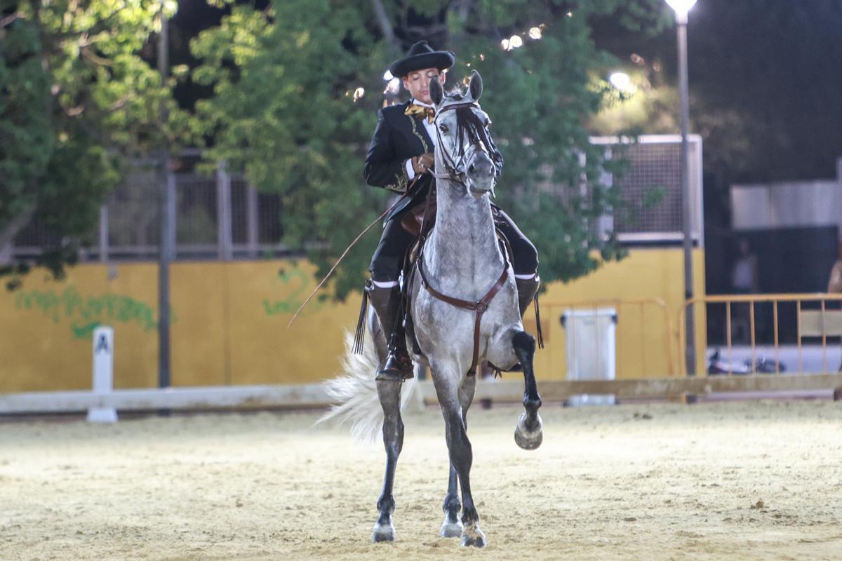 Así ha sido la Feria de Ganado de Dolores