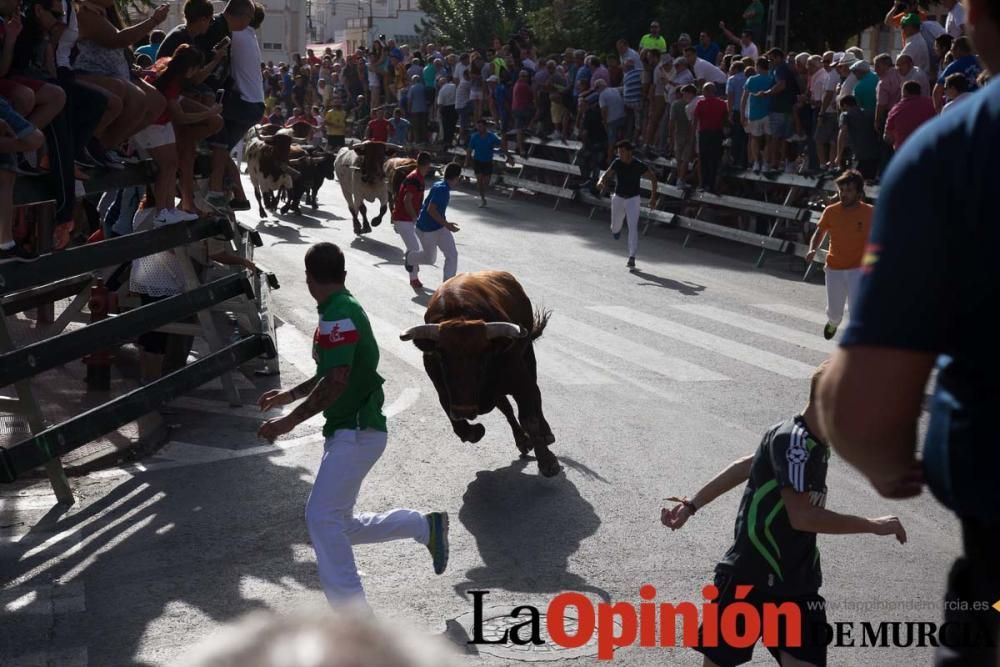 Tercer encierro en Calasparra