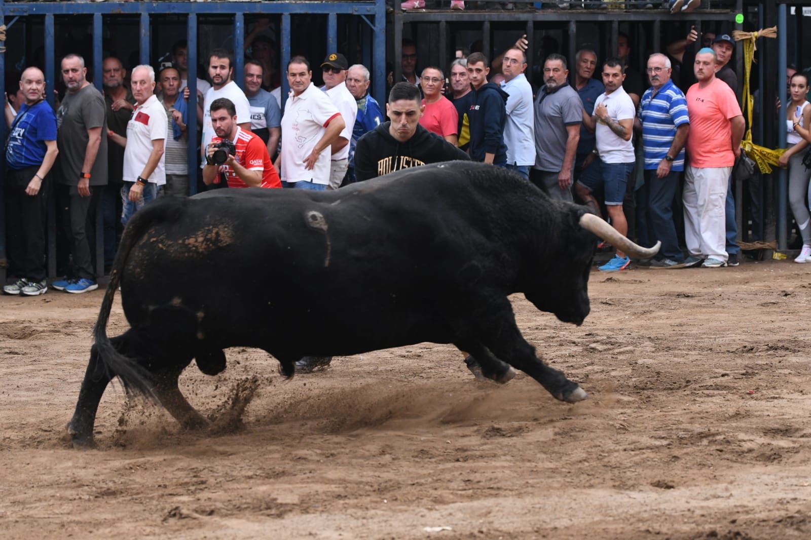 Exhibición de cuatro toros de Partida Resina en Onda