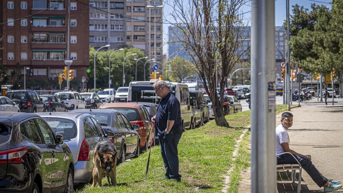 Un perro despacha en una de las pocas zonas verdes de la avenida de Roma, con la estación de Sants al fondo