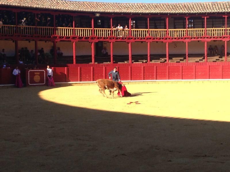 Fiestas en Toro | Becerrada de las peñas