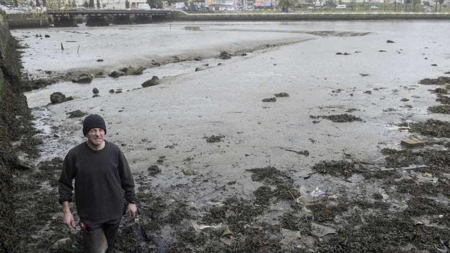 Un mariscador hundido en los lodos de la ría de O Burgo, durante la visita de los eurodiputados, en 2013.