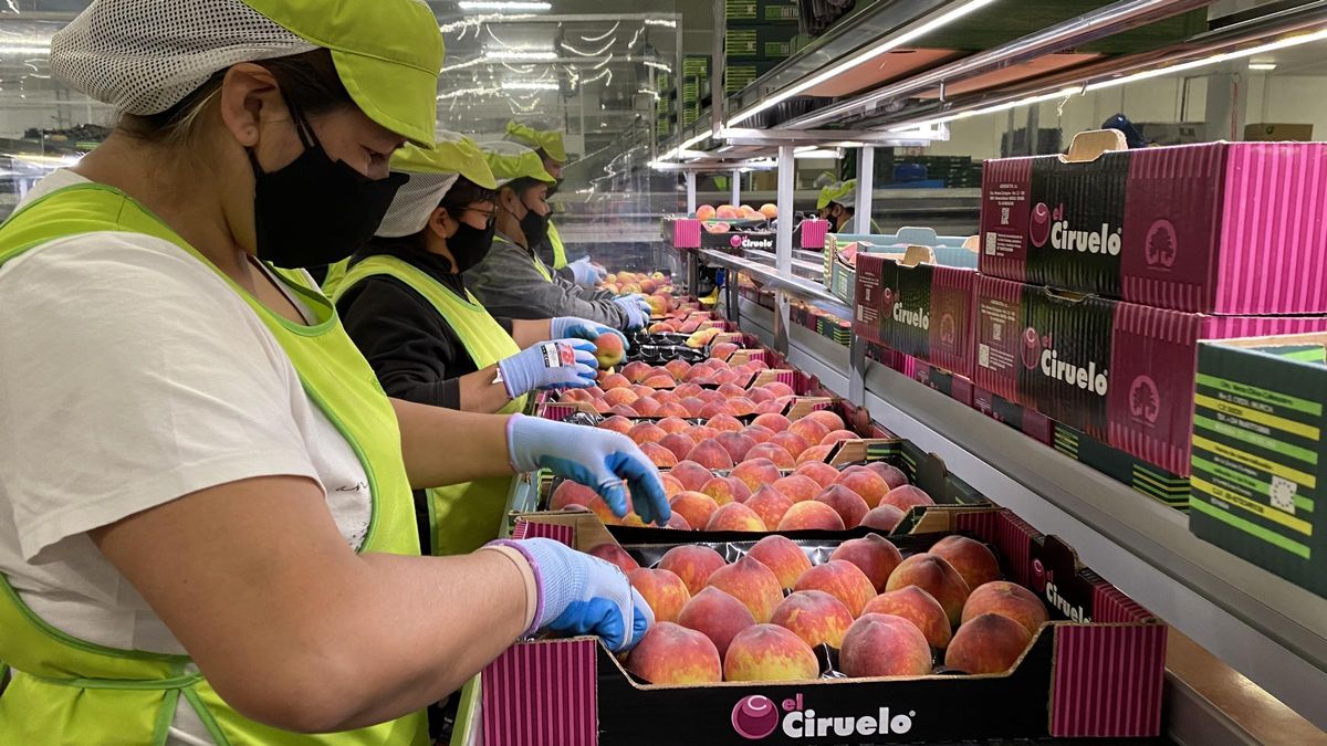 El Ciruelo pone el foco en el bienestar de sus trabajadores.