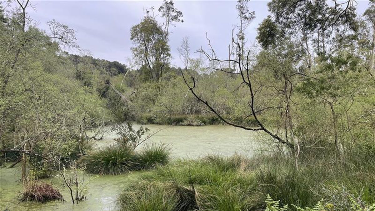 Laguna de Salave, donde ya hubo explotación aurifera por los romanos.