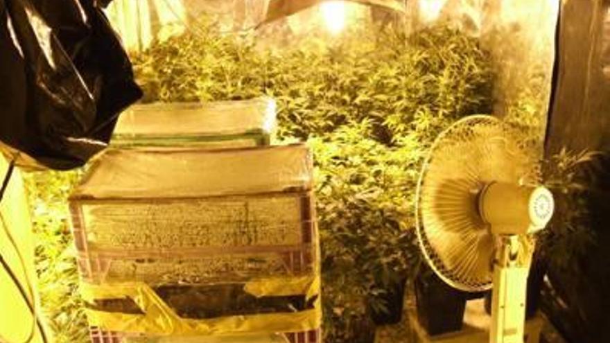 Los fiscales acusan por las defraudaciones de electricidad de plantaciones de marihuana