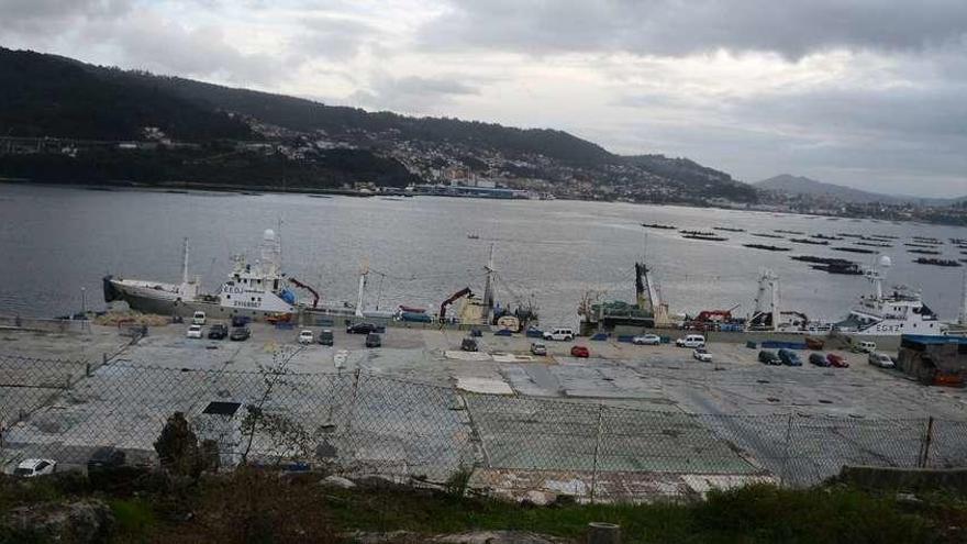 Estado actual de planta de Fandicosta, en la zona en donde ardió la nave cuyos restos fueron retirados para levantar la nueva. // Gonzalo Núñez