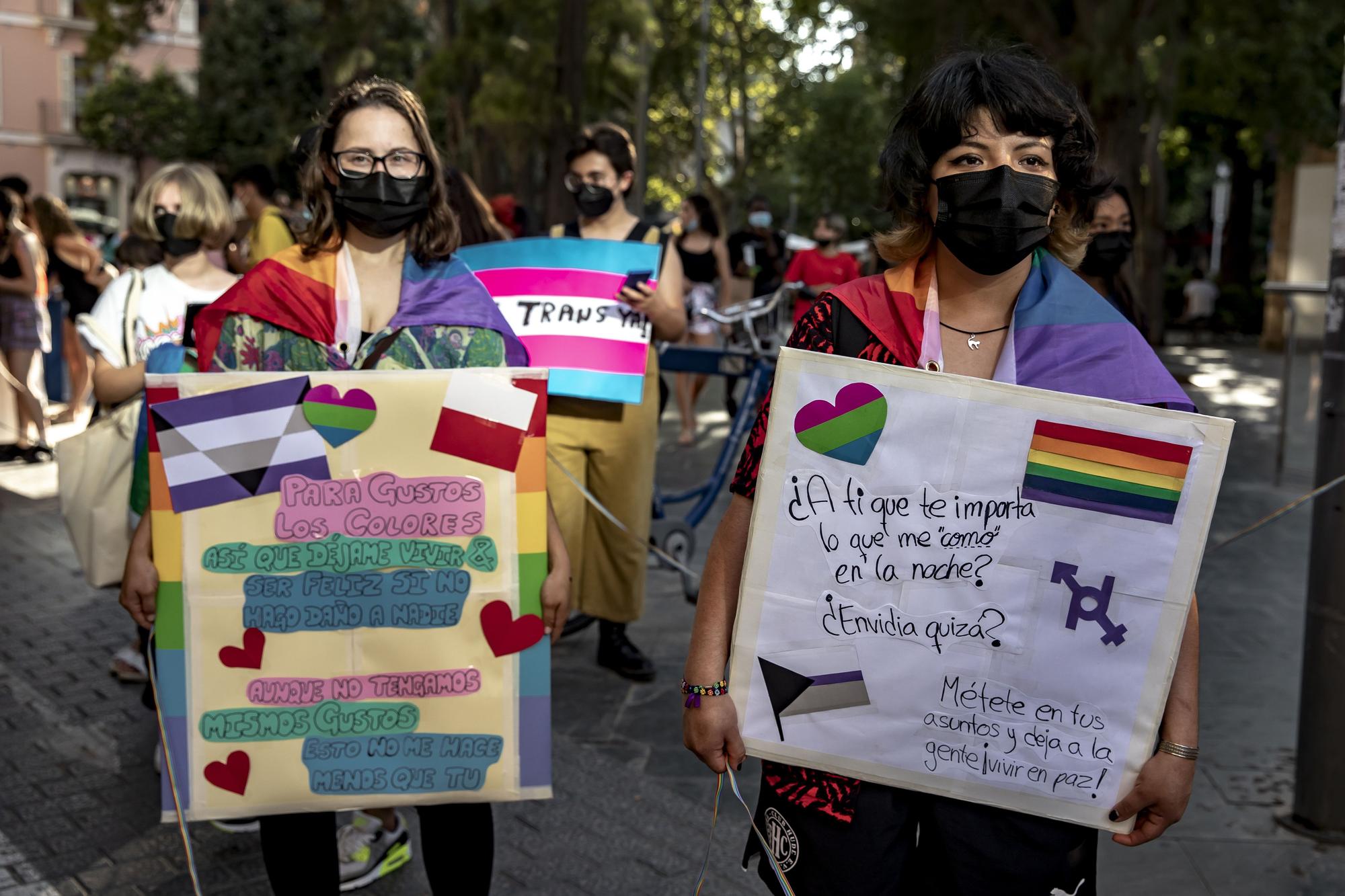 Un millar de personas se manifiesta en Palma en pro del colectivo LGTBI